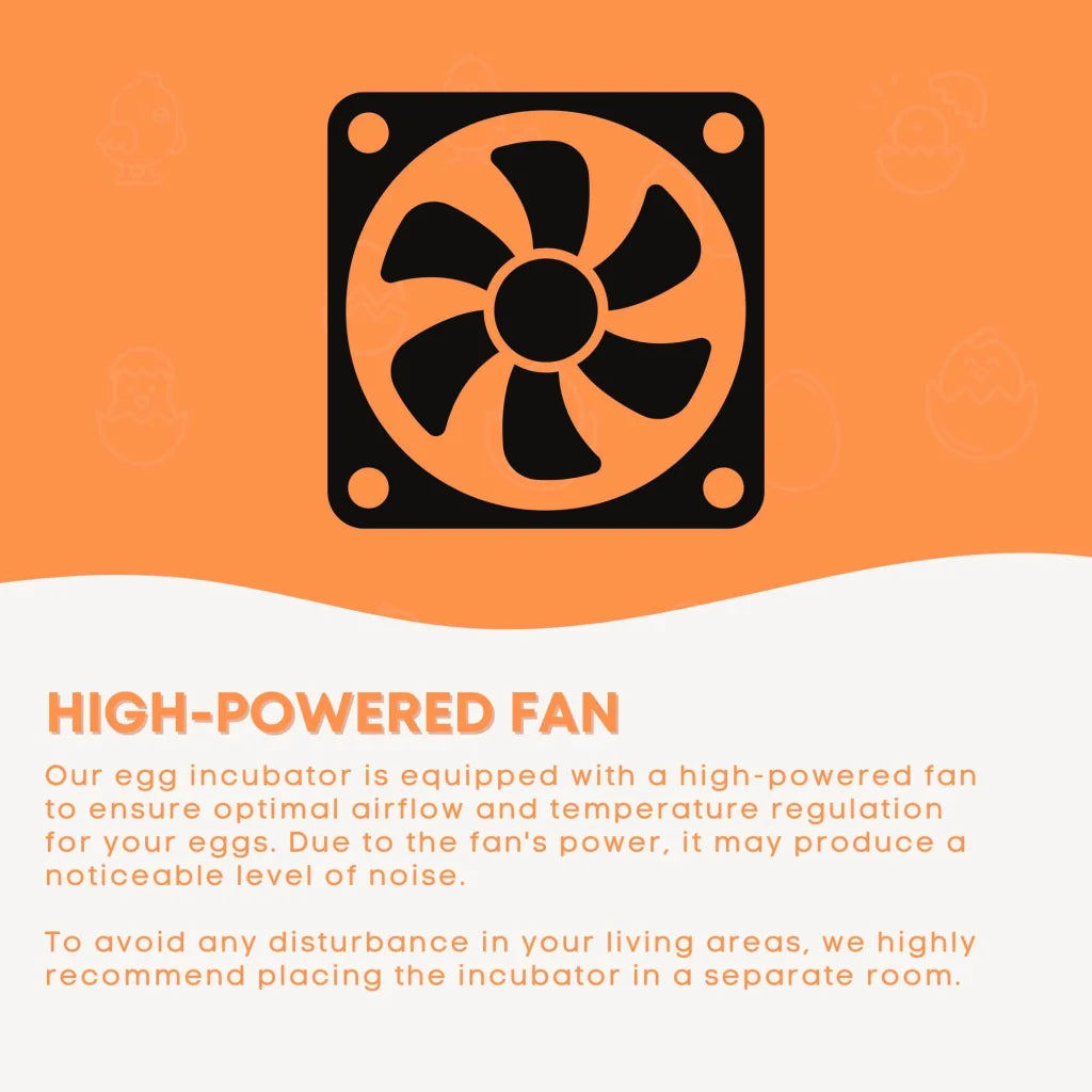 Egg Incubator 12 Eggs + Accessories Hatching for Chicken