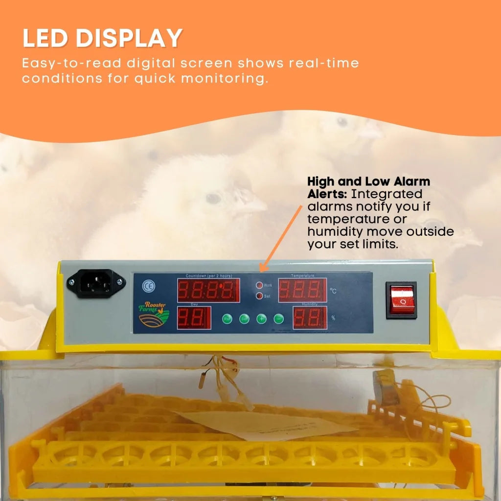 Electric 112 Egg Incubator + Accessories Hatching Eggs