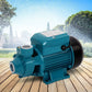 Electric peripheralpump cleanwater with pump casing and connector fittings