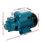 Electric peripheralpump cleanwater with outdoor basin and fitted pump parts