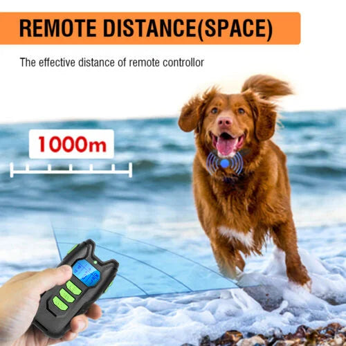 Electric Pet Dog Training Anti Bark Collar Sound Vibrate
