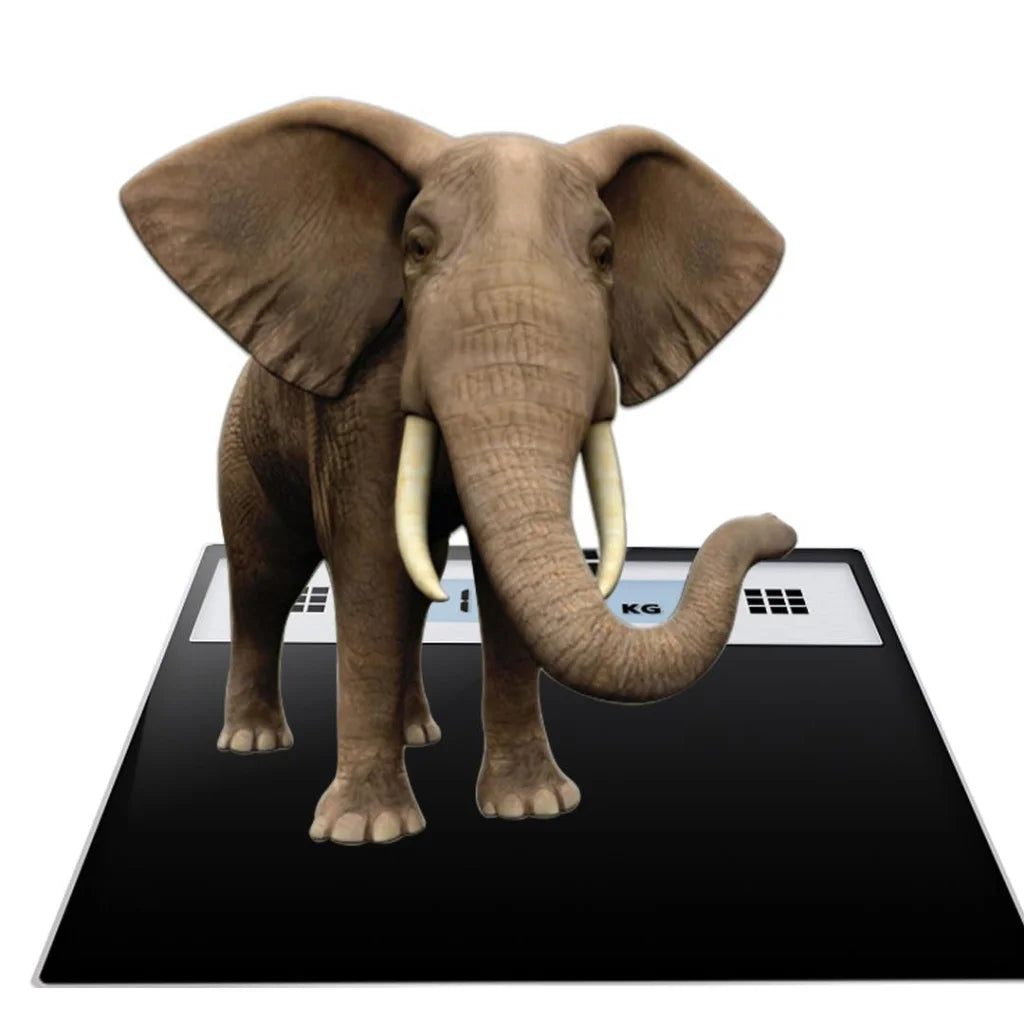 Electronic Talking Scale 180kg Fitness Weight Glass Bathroom Scale LCD Display - Stainless - Premium