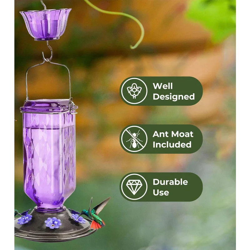 Elegant Hanging Hummingbird Feeder - Decorative Glass
