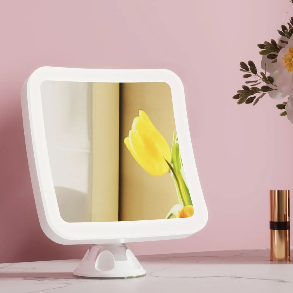 Embellir Makeup Mirror 10X Magnification LED Light