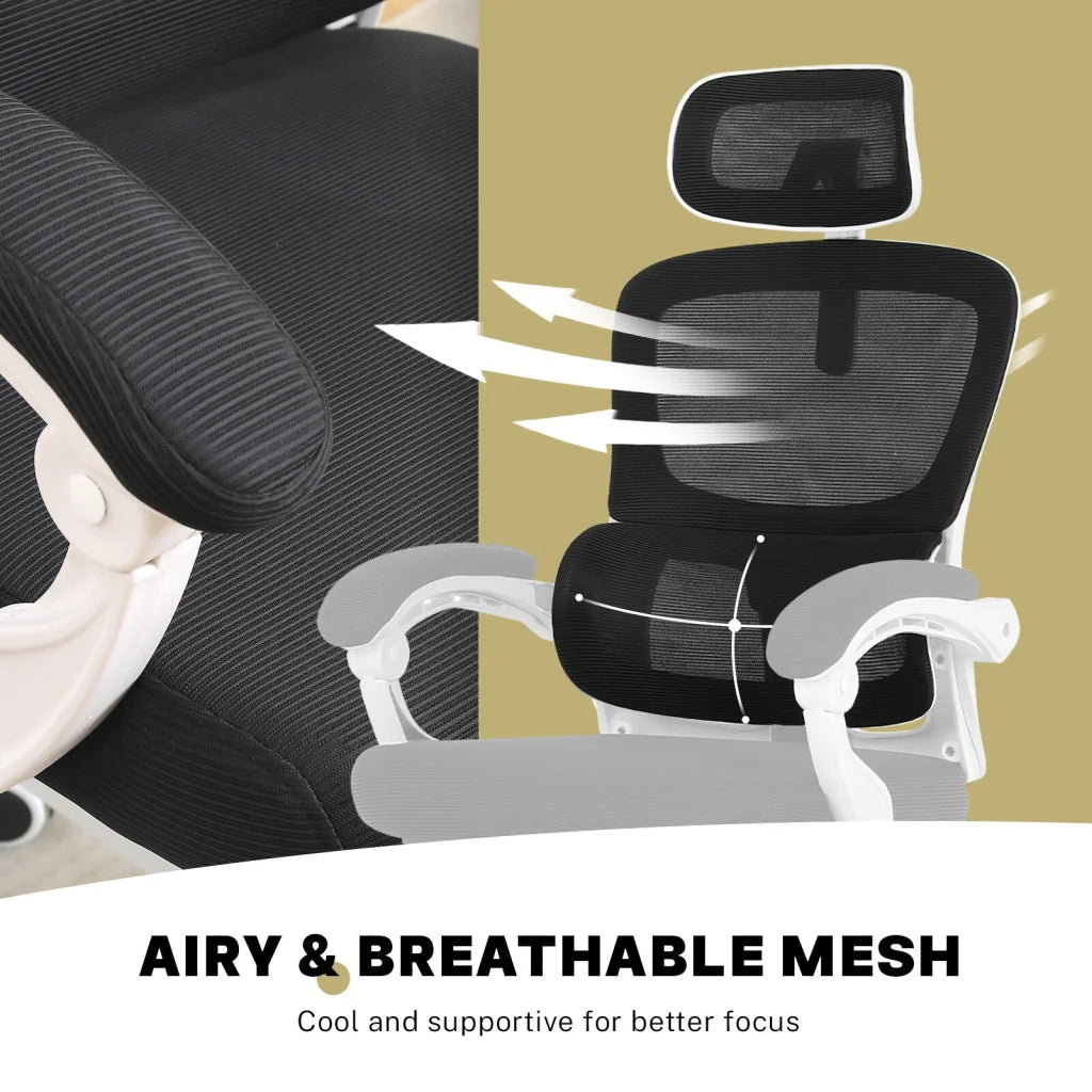Ergonomic Reclining Office Chair - Footrest Lumbar Support