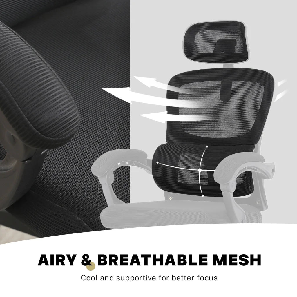 Ergonomic Reclining Office Chair - Lumbar Support