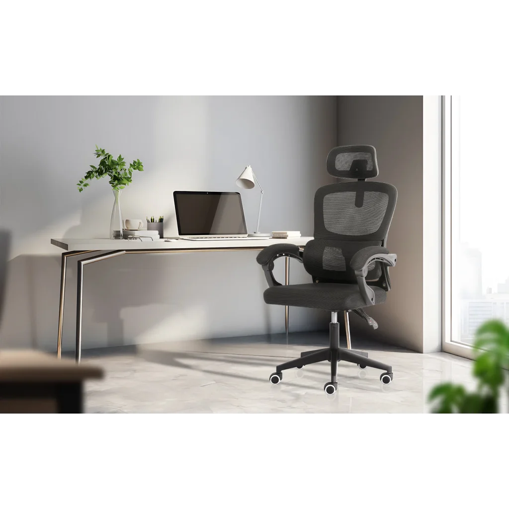 Ergonomic Reclining Office Chair - Lumbar Support