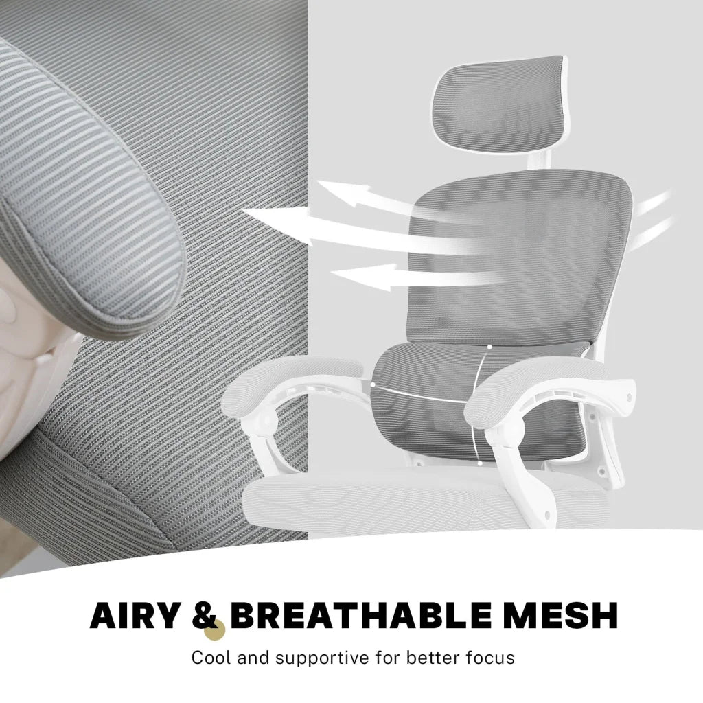 Ergonomic Reclining Office Chair - Lumbar Support