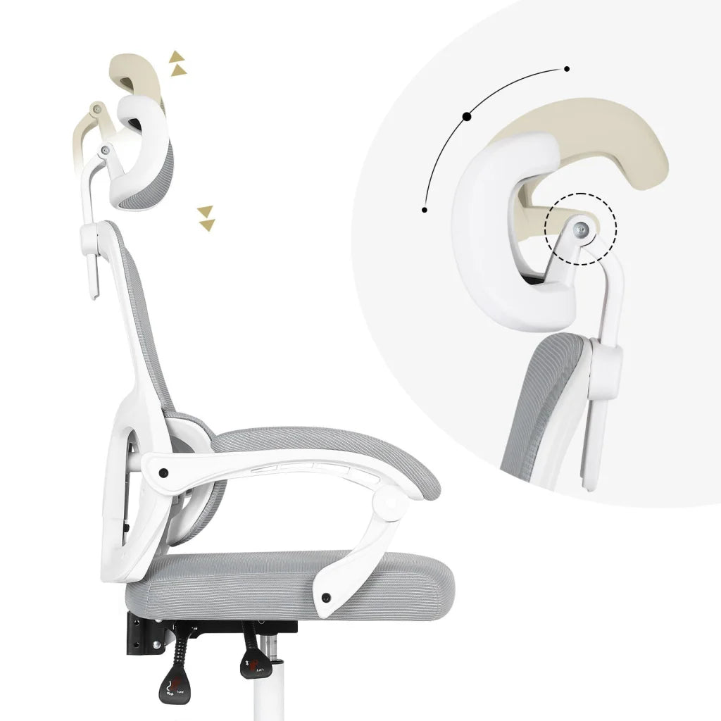 Ergonomic Reclining Office Chair - Lumbar Support