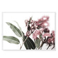 Eucalyptus in Bloom Wall Art - White Frame Canvas 50cm x
