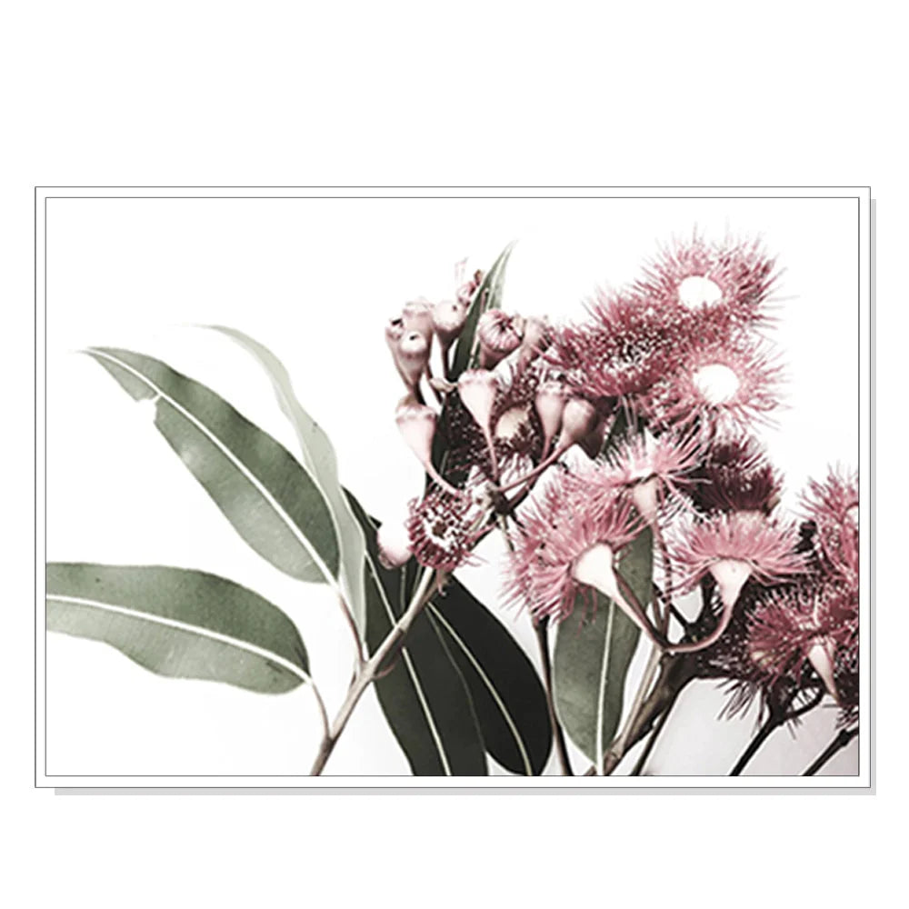 Eucalyptus in Bloom Wall Art - White Frame Canvas 50cm x