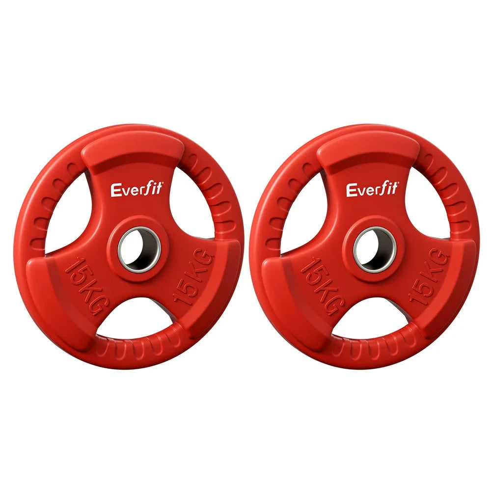 Everfit Weight Plates Olympic 15kgx2 Dumbbell Barbell Plate