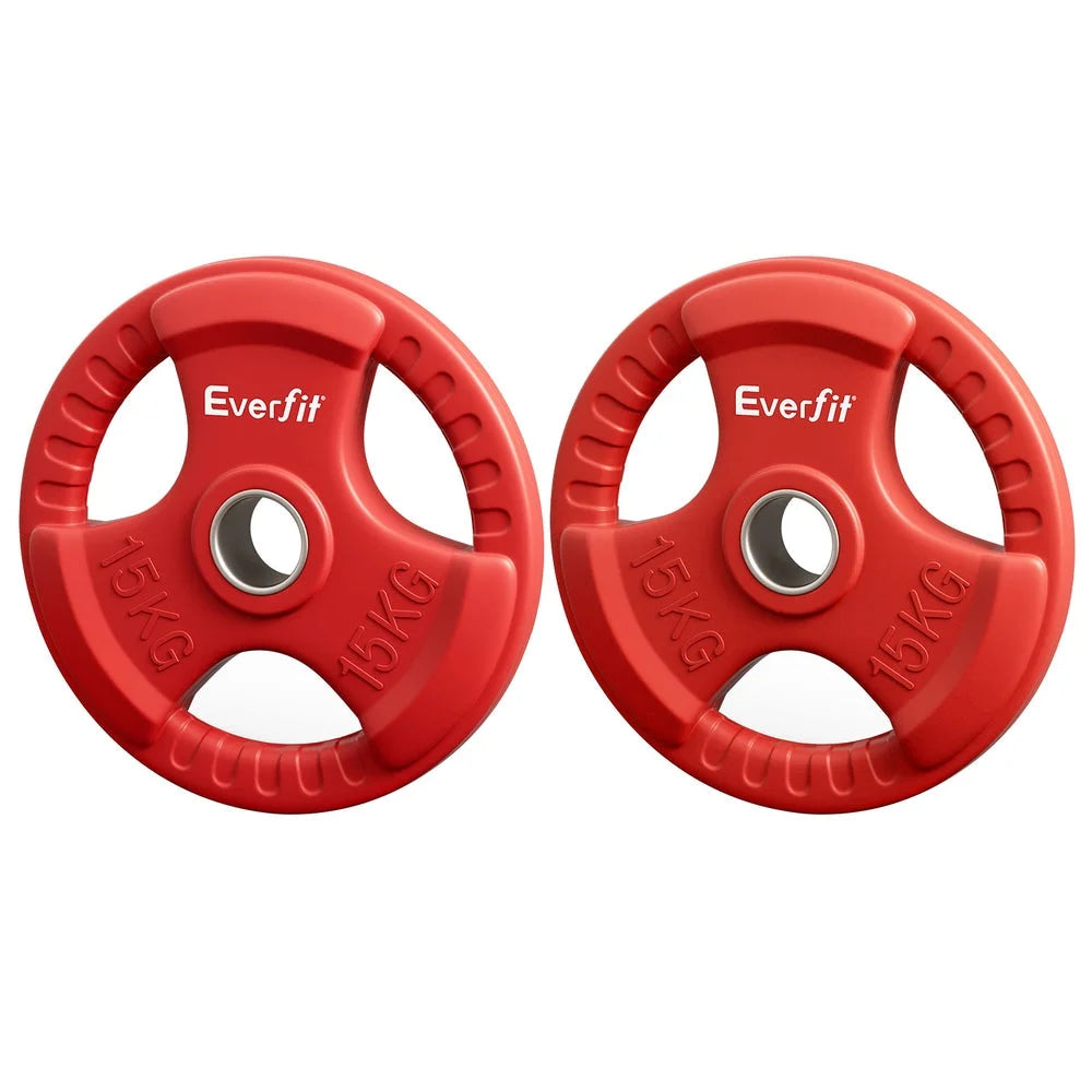 Everfit Weight Plates Olympic 15kgx2 Dumbbell Barbell Plate