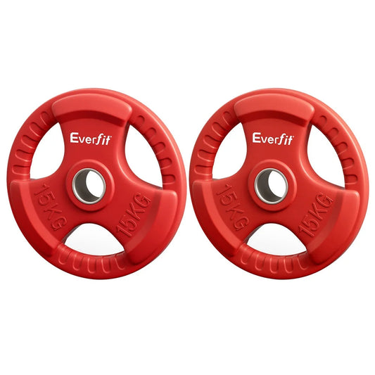 Everfit Weight Plates Olympic 15kgx2 Dumbbell Barbell Plate
