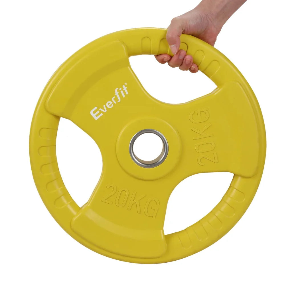 Everfit Weight Plates Olympic 20kg Dumbbell Barbell Plate