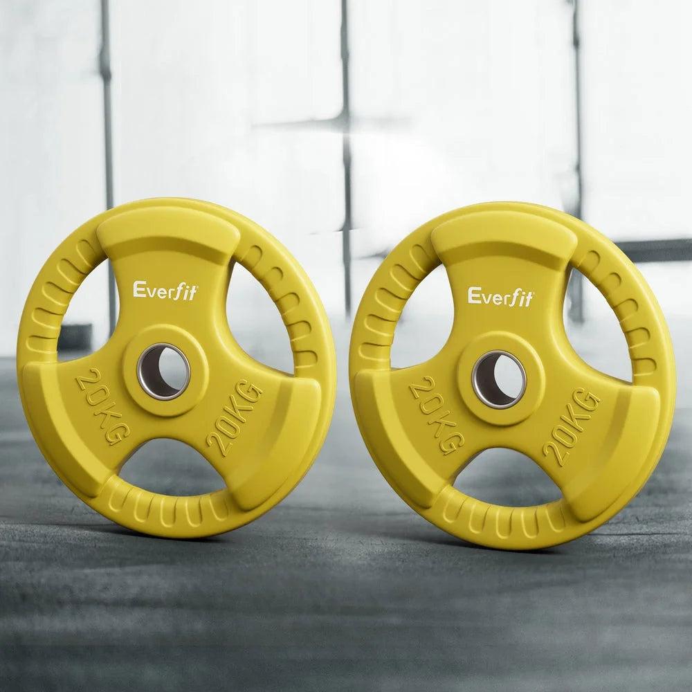 Everfit Weight Plates Olympic 20kgx2 Dumbbell Barbell Plate