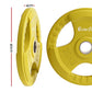 Everfit Weight Plates Olympic 20kgx2 Dumbbell