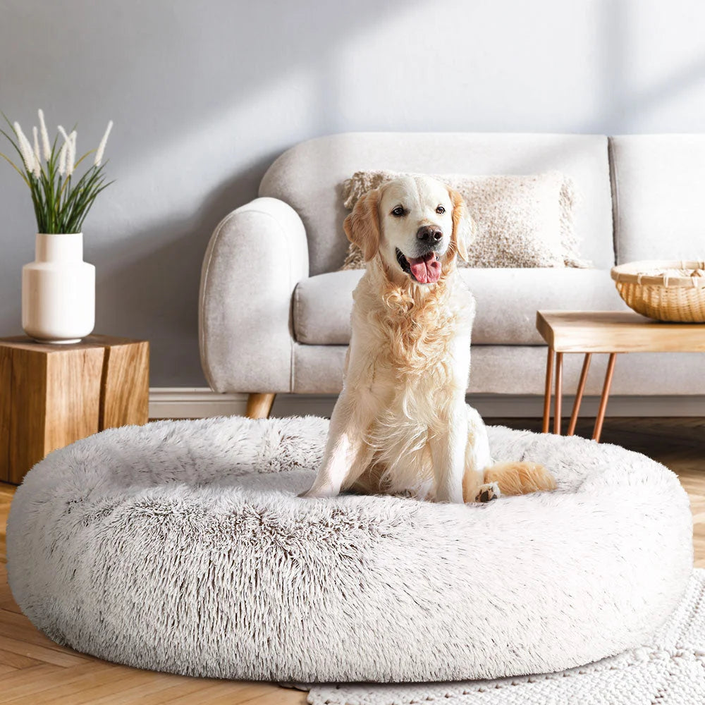 White 110cm extra large pet with component details and storage context