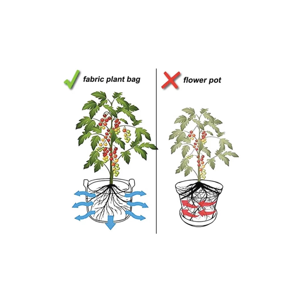 Fabric Flower Pots 6 Pack 10 Gallon 38L Garden Planter Bags
