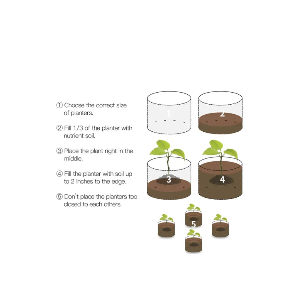 Fabric Flower Pots 6 Pack 10 Gallon 38L Garden Planter Bags