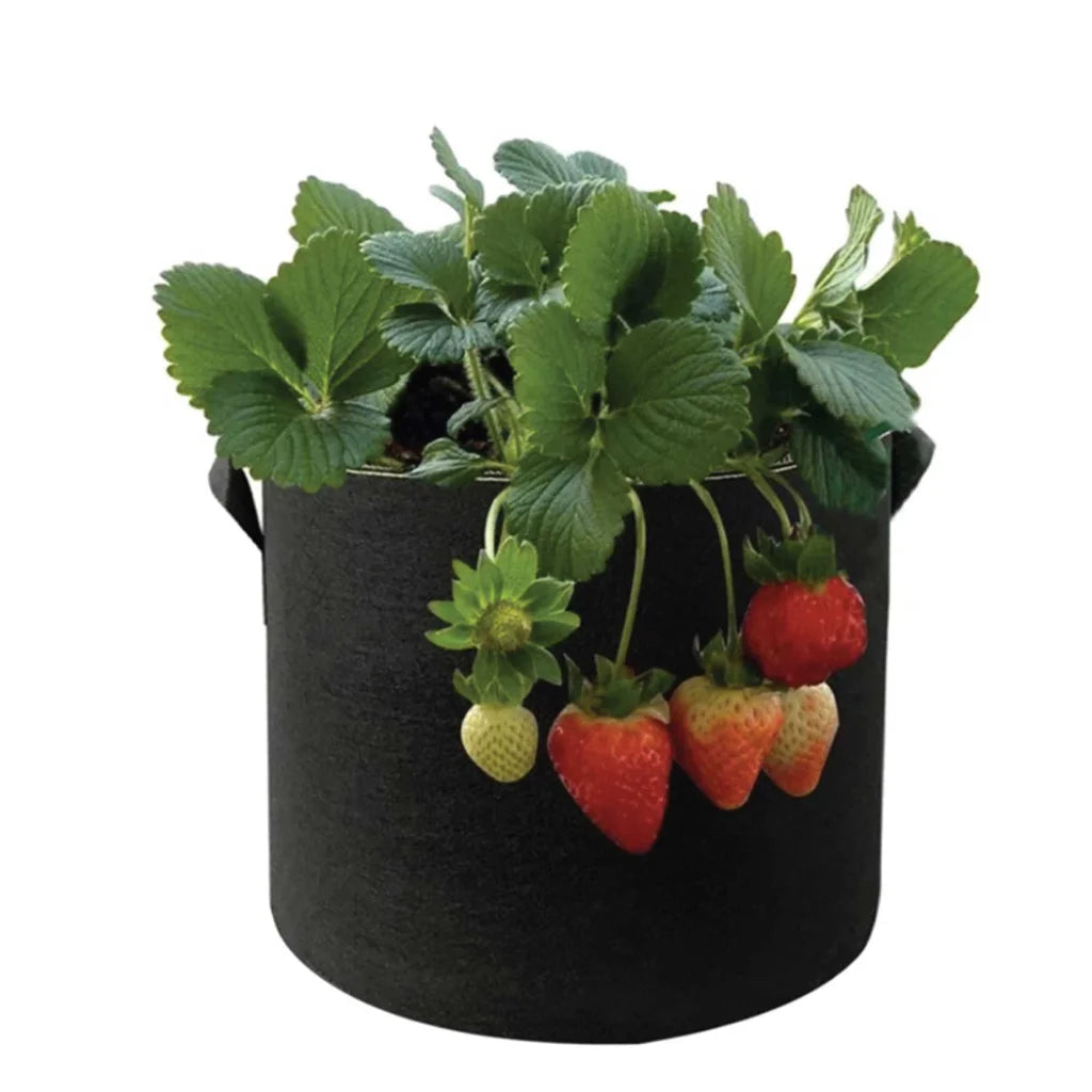 Fabric Flower Pots 6 Pack 10 Gallon 38L Garden Planter Bags