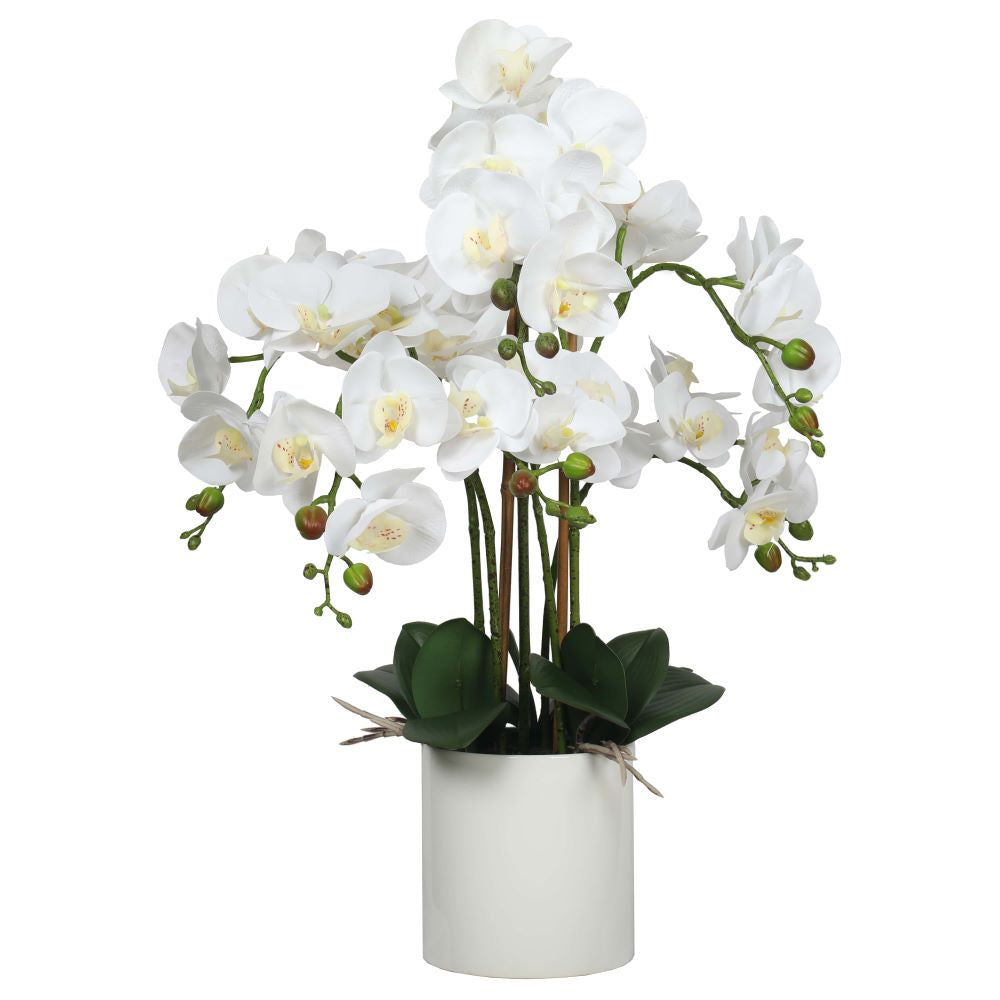 Potted Faux Orchid Large Multi-Stem White - 65cm