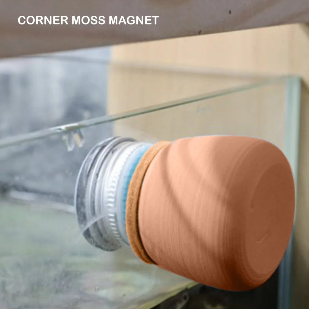 Fish Tank Corner Moss Magnet Scraper Glass Algae Cleaner
