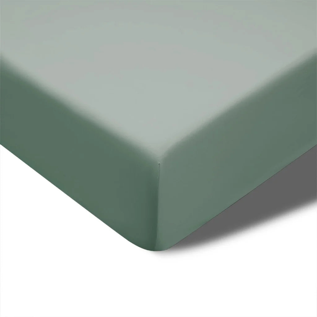 Fitted Sheet Queen 400TC Sage Bamboo Cotton 40cm Wall