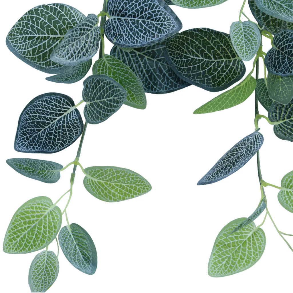 Fittonia Hanging Garland Bush 80cm