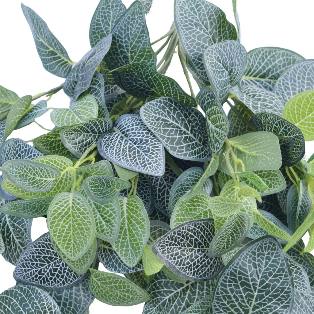 Fittonia Hanging Garland Bush 80cm