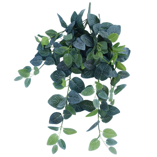 Fittonia Hanging Garland Bush 80cm