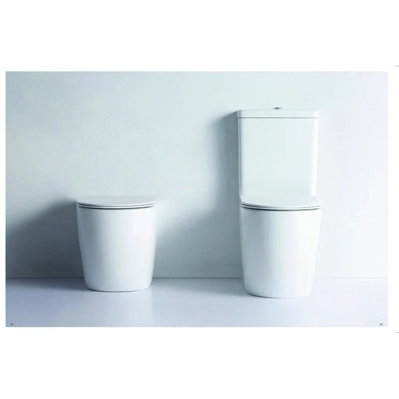 Floor Pan Alexander-R Rimless Back to Wall - Tools