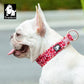 Floral Collar - Poppy Red (XS)