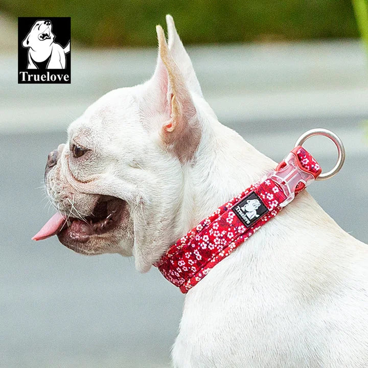 Floral Collar - Poppy Red (XS)