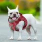 Floral Doggy Harness - Red (2XS)