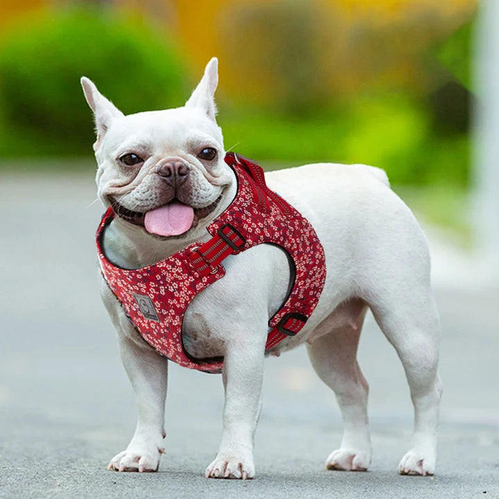Floral Doggy Harness - Red (M)