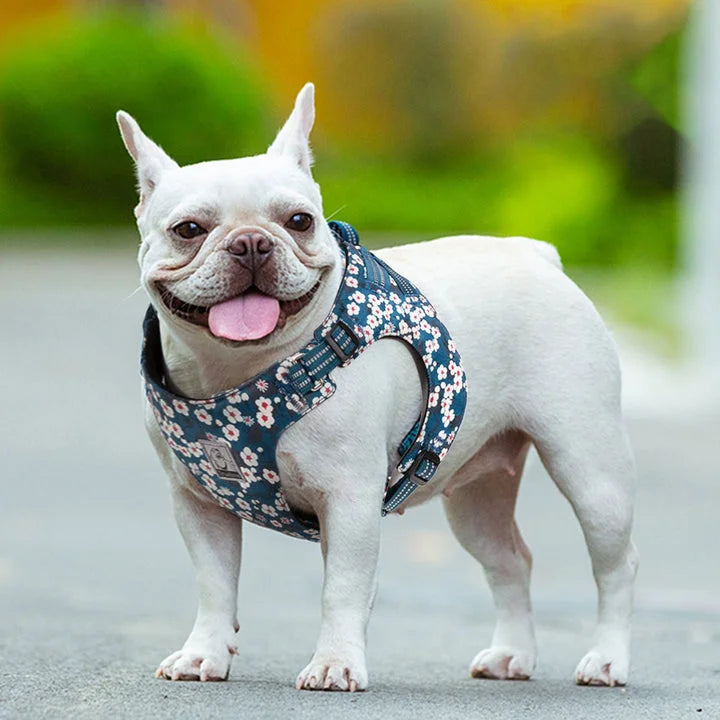 Floral Doggy Harness - Saxony Blue (3XS)