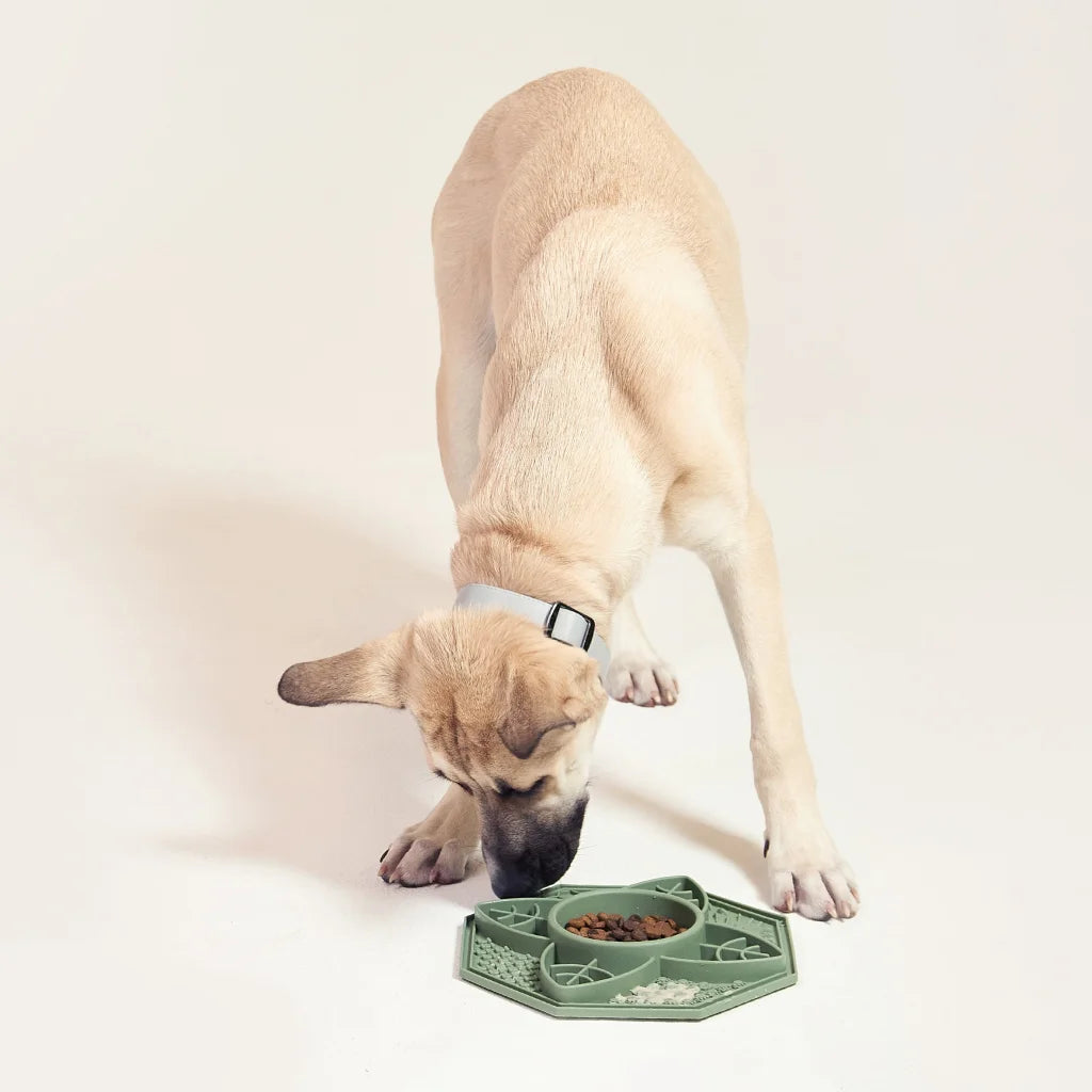 Flower Mandala Slow Feeder Lick Mat Bowl - Sage - Health &