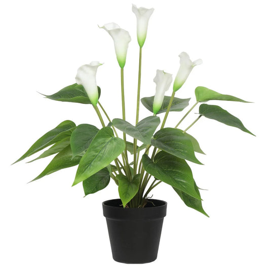 Flowering White Peace Lily Calla Plant 50cm artificial