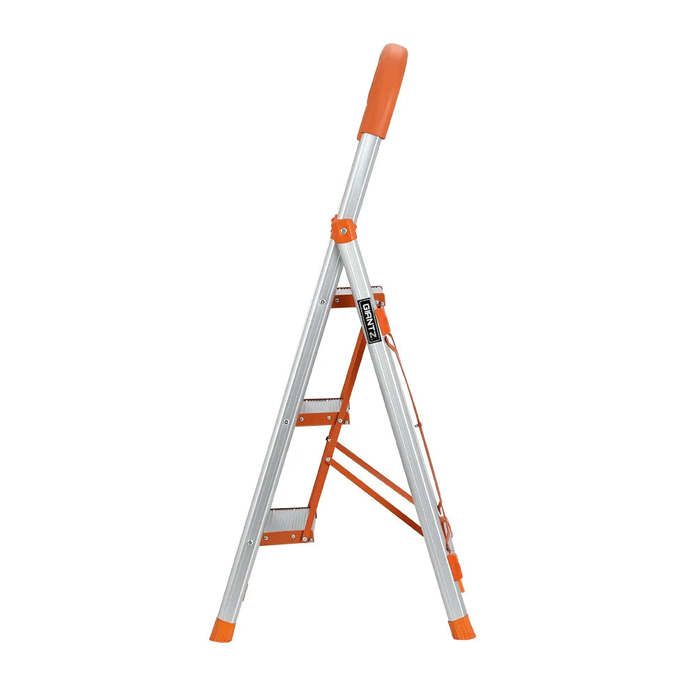 Folding ladder step with matching accessories and clear item layout