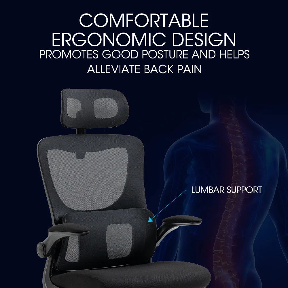 FORTIA Ergonomic Office Desk Chair Lumbar Support Mesh