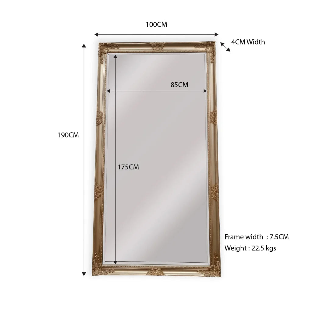 French Provincial Ornate Mirror - ANTIQUE CHAMPAGNE - X