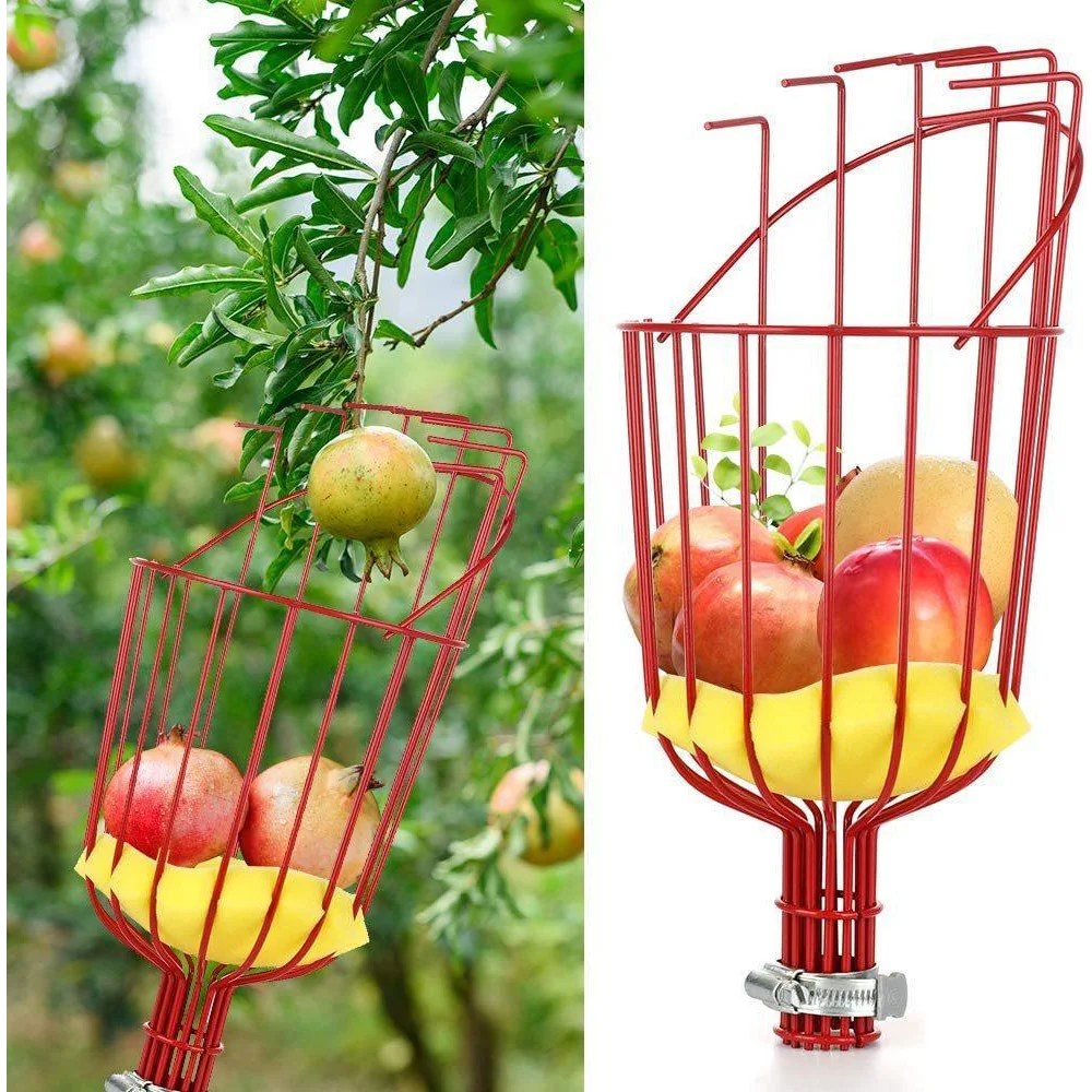 Fruit picking tool with telescopic pole - stainless steel