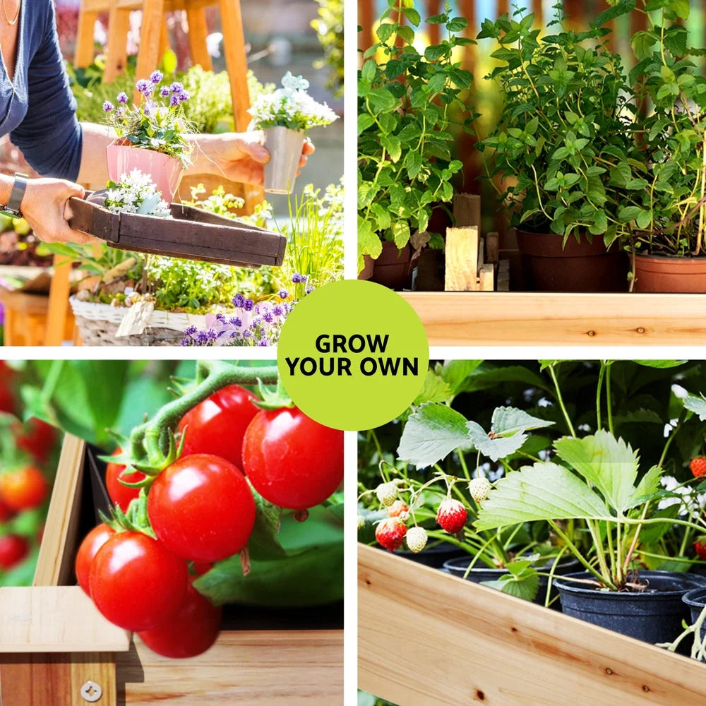Wooden raised garden bed with raised planting area and steel sides