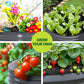 Bed Planter Box Raised Container Galvanised Steel 90X45cm 203
