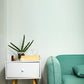 Geometry Oblong Nebuliser - Appliances