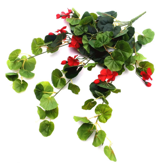 Geranium Hanging Bush with Red Flowers 60cm - Home & Garden