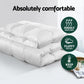 Giselle Bedding 700GSM Duck Down Feather Quilt Duvet Doona