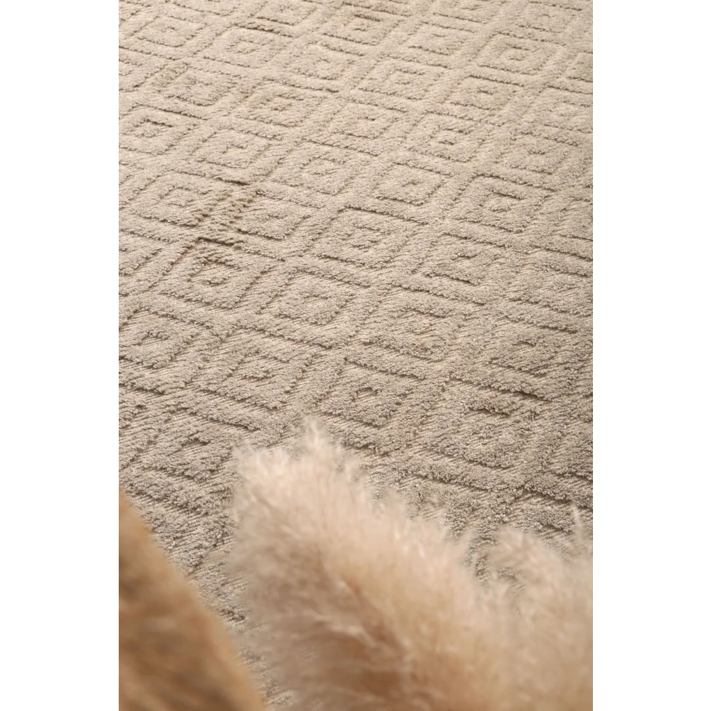 Goa D4 ASH Rug - 240x330 - Home & Garden