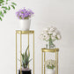 Gold Metal Plant Stand 2 Layer 80cm with Flower Pot Holder Corner Shelving Rack Indoor Display